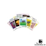 Exploding Kittens Streaking Kittens Components1